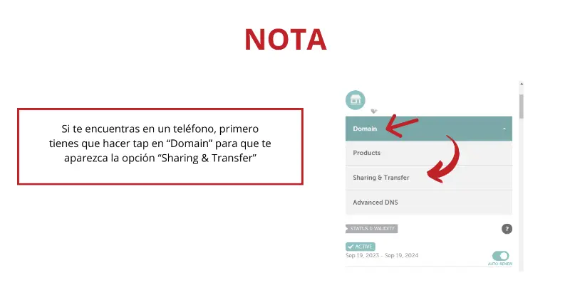 Captura de pantalla 14 del registro de dominio