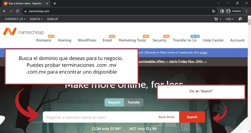 Captura de pantalla 1 del registro de dominio